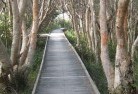 Bowen NSWsustainable-landscaping-14.jpg; ?>