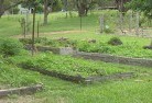 Bowen NSWsustainable-landscaping-19.jpg; ?>