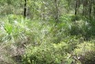 Bowen NSWsustainable-landscaping-21.jpg; ?>